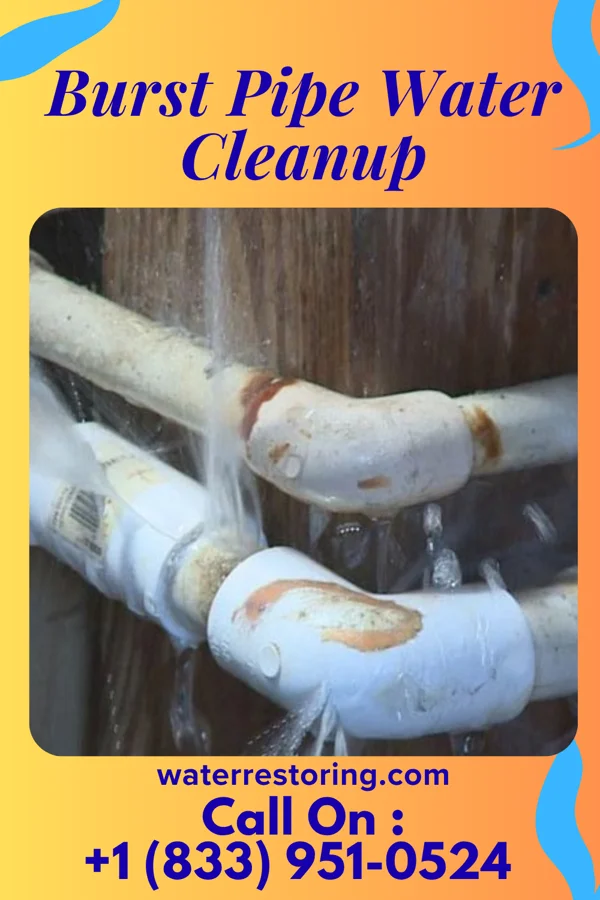 Burst Pipe Water Cleanup in Dearborn, MO