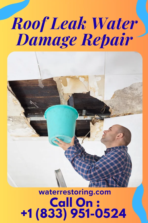 Roof Leak Water Damage Repair in Dearborn, MO